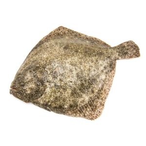 rodaballo